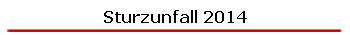 Sturzunfall 2014